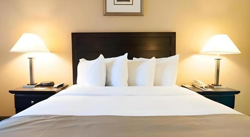 Hotel Solaire Angeles
